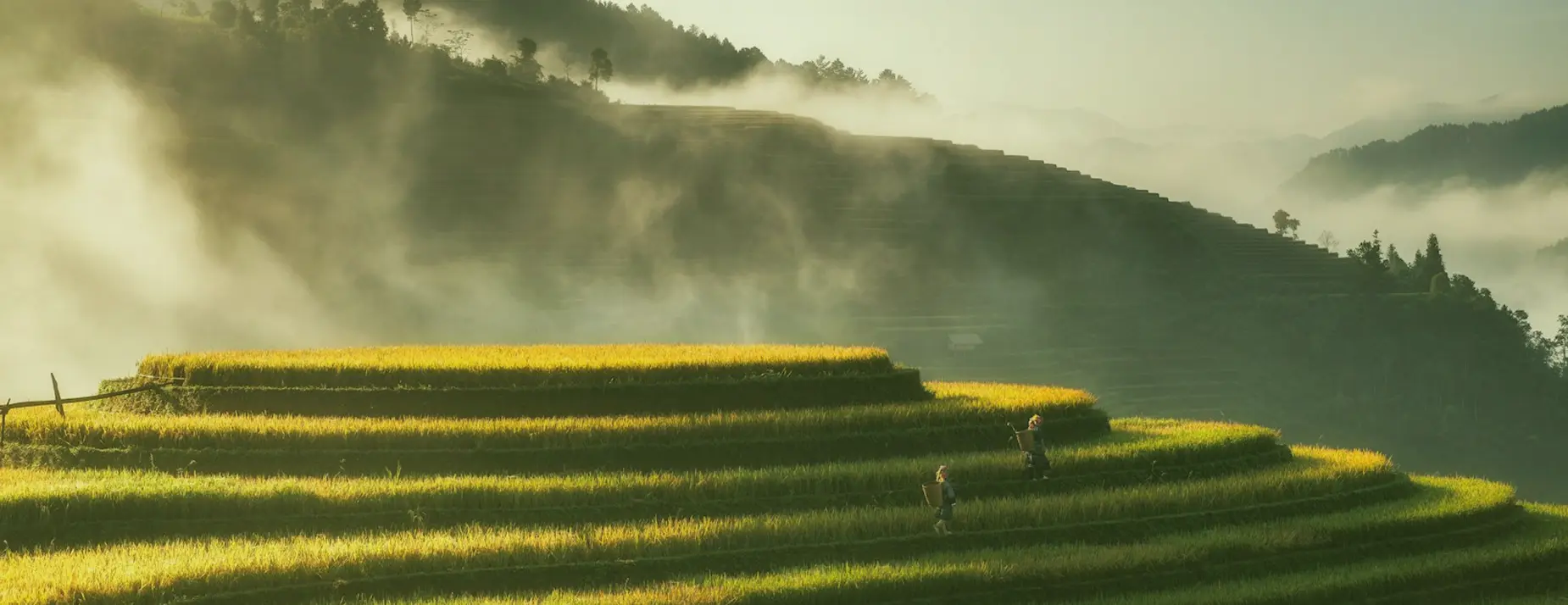 Our unique value propositions