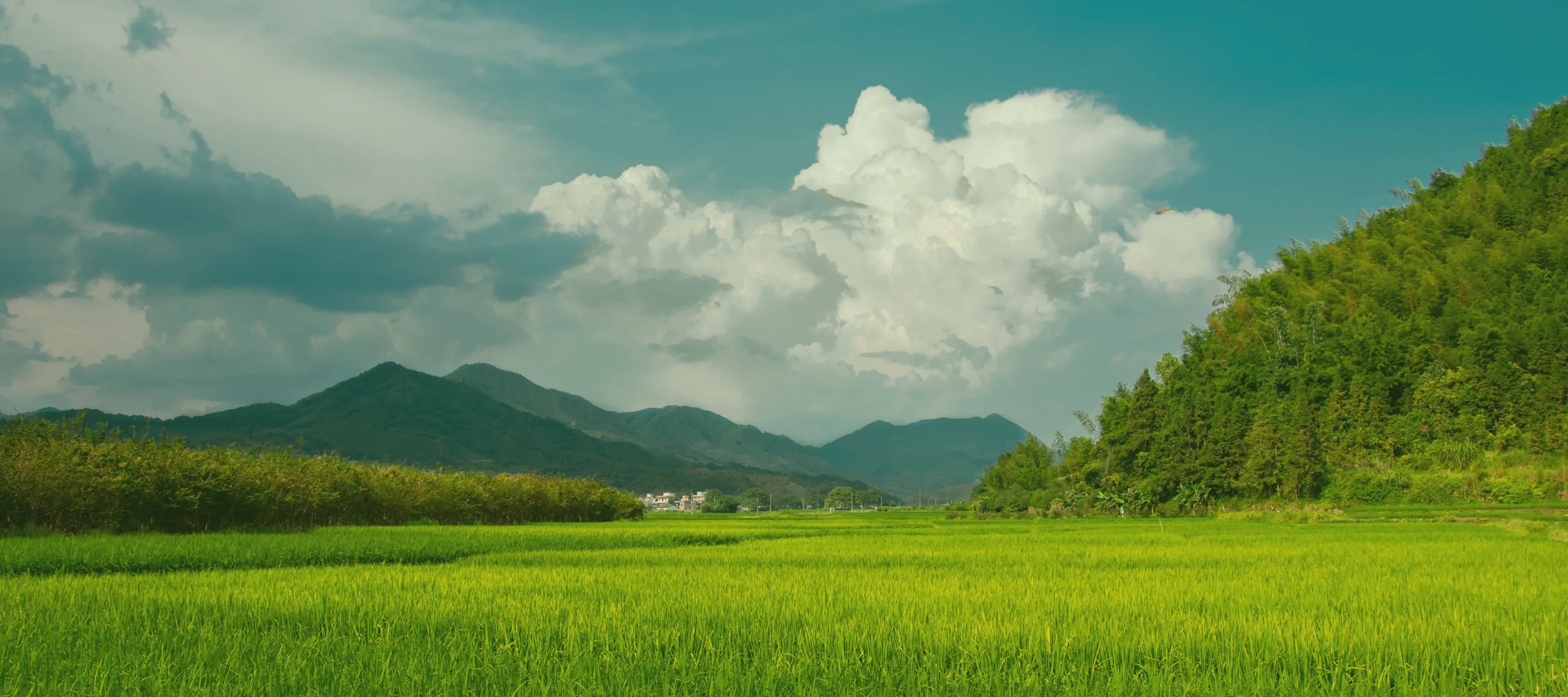 Image of Test Artikel Pertama